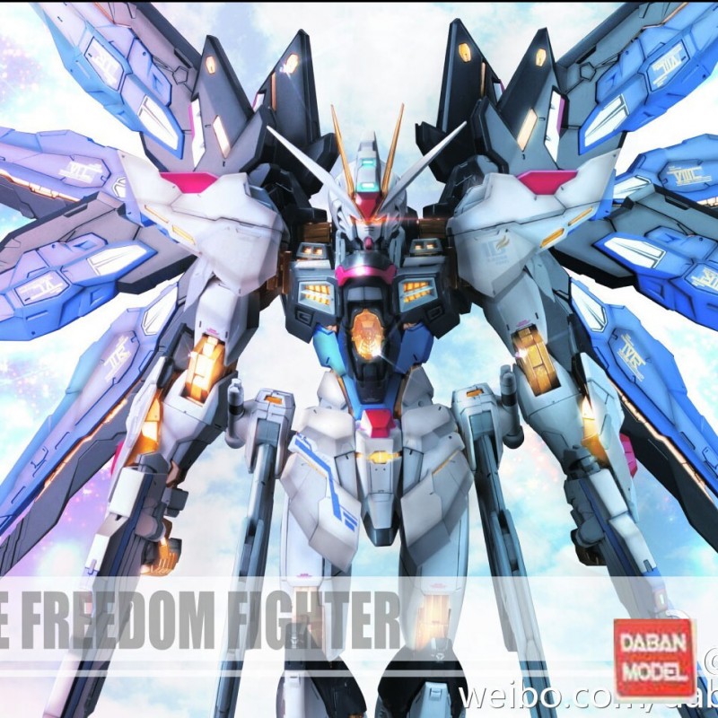 DABAN 1/100 MG MB.Ver Detail Strike Freedom Fighter Robot Model Kit